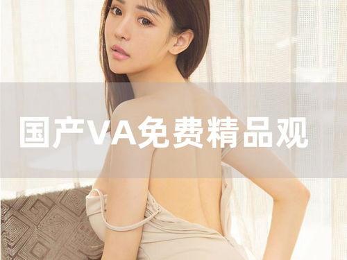 va国产